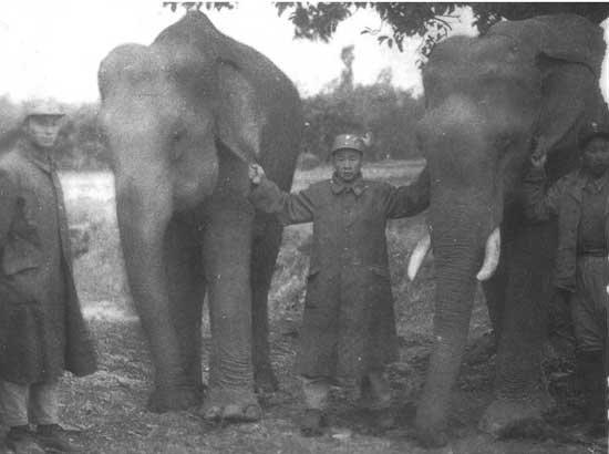 驻印军士兵与大象合影